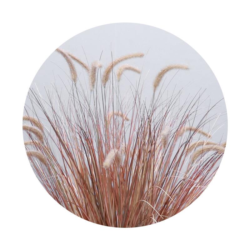 仿真植物狗尾巴草北欧家居仿真塑料芦苇草斑纹草落地摆件假洋葱草