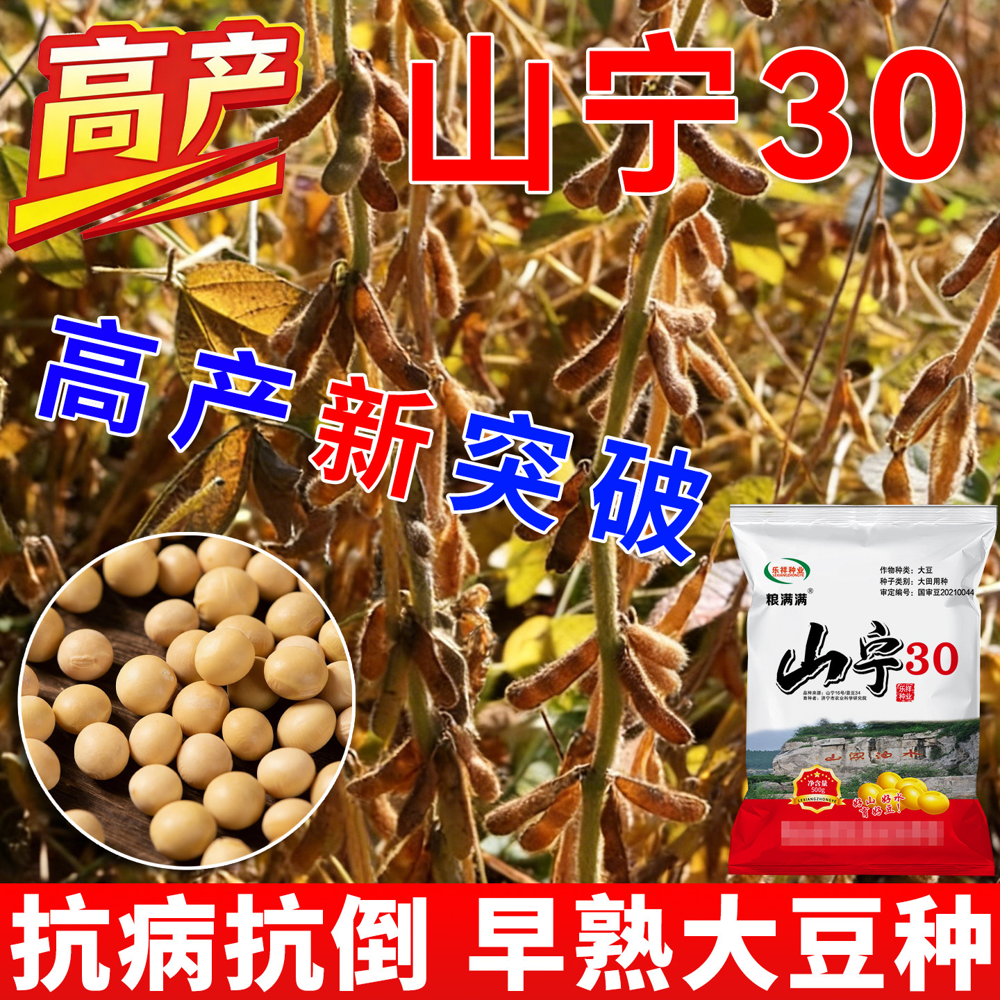 山宁30超高产大豆种子大粒黄豆毛豆种子一代原种矮杆早熟抗旱耐涝