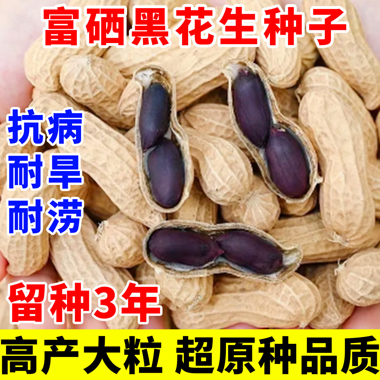 富硒黑花生种子带壳山东云南特产早熟黑紫农科院高产花生种子大粒