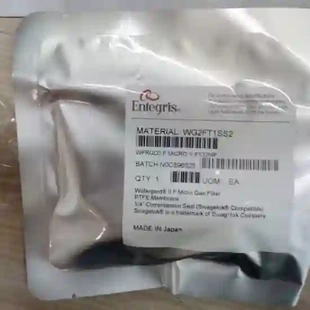 在线气体过滤器WG2FT1SS2议价 Entegris英特格