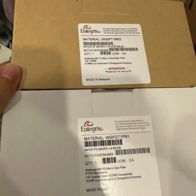 美国ENTEGRIS英特格过滤器WGFGMBRR4，全新议价