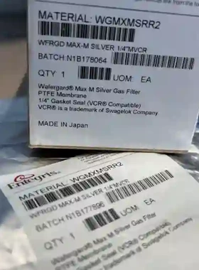 美国ENTEGRIS英特格过滤器WGMXMSRR2现货供议价