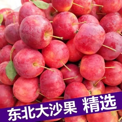 东北海棠果新鲜沙果海红果现摘小苹果当季酸甜脆孕妇水果吉林市产