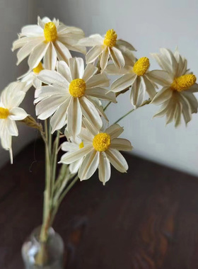 木槿花干花文心兰手工粘花家居装饰客厅摆件插花拍摄道具干花