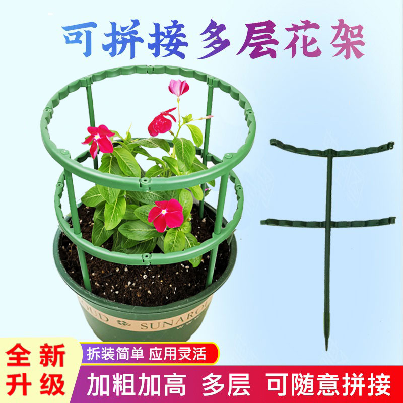 花架支蟹爪兰多肉太阳撑