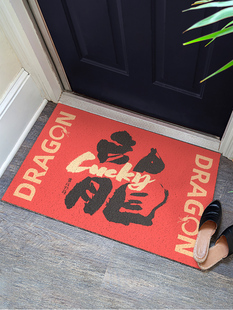 一拾一 黄陵野鹤 龙年丝圈入户门地垫可裁剪玄关进门脚垫门口地毯