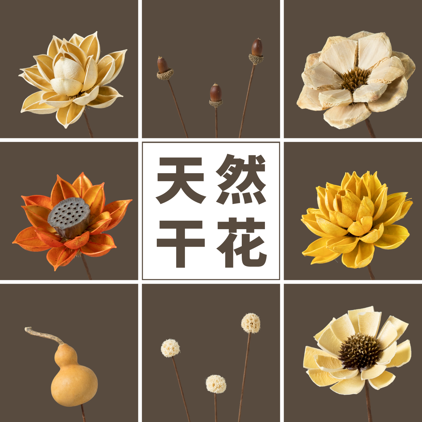 景詹永生花仿真天然真干花