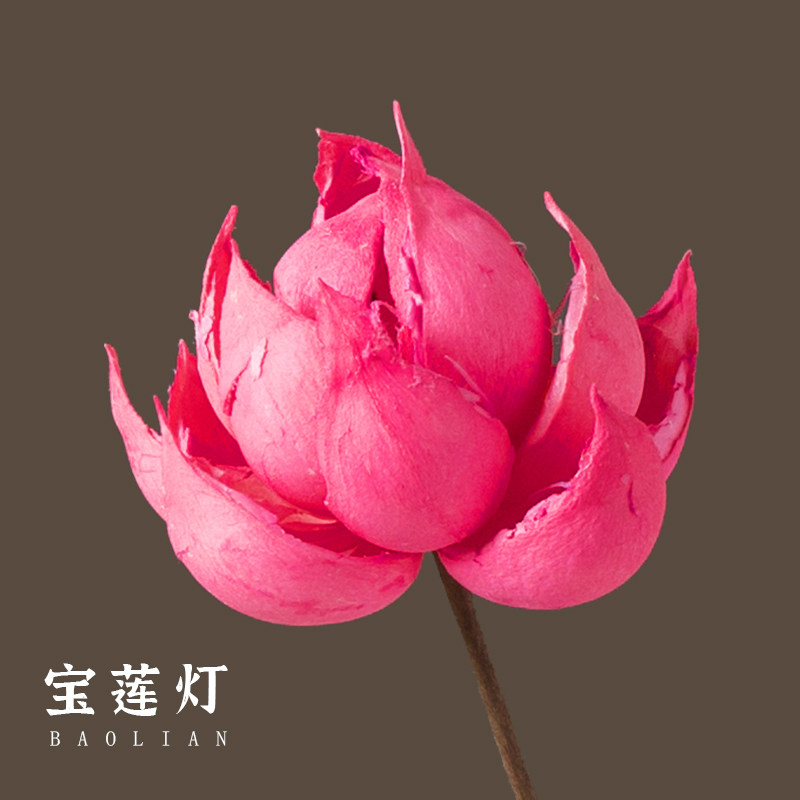 景詹永生花仿真天然真干花图片