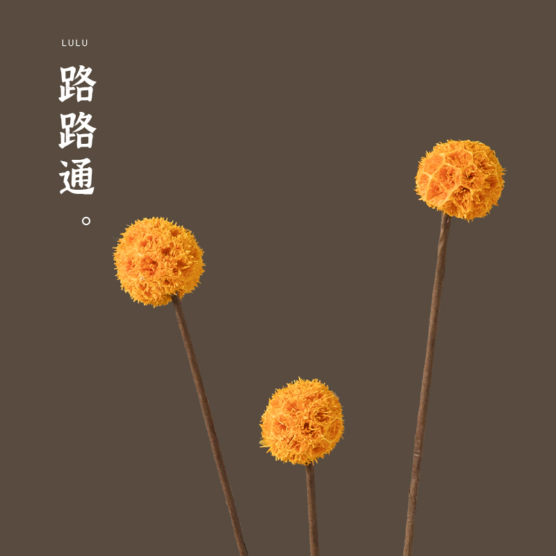 路路通小花球干花仿真花假花手工植物装饰花插花家居摆设永生花