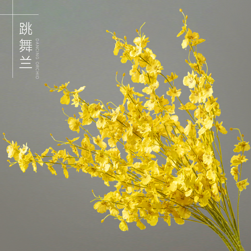 景詹跳舞兰客厅仿真花