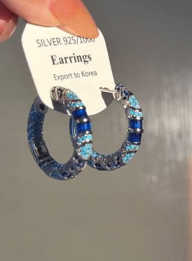 新中式仿蓝色锆石耳圈女2025新款爆款高级感耳环小众简约百搭耳饰