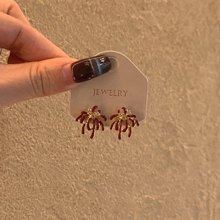 超好看独特漂亮红色烟花耳环2025新款 高级感轻奢小众秋冬耳钉 爆款