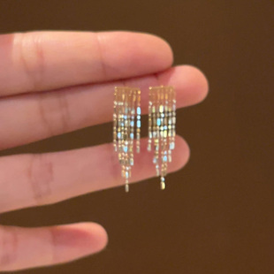 韩系简约金色流苏耳环女小众设计精致百搭耳饰2025新款 高级感 爆款