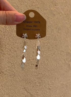 银色亮片流苏耳环2025新款爆款高级感轻奢气质花朵耳钉女小众独特