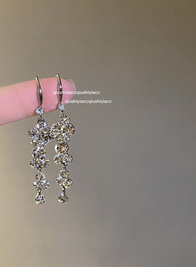 精致锆石流苏耳环2025新款爆款轻奢高级感气质耳钉小众独特耳坠女