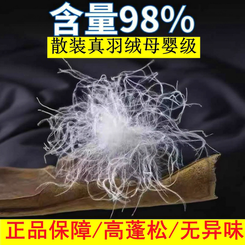 【月销前三】特大朵高蓬松无异味