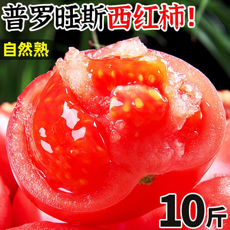 西红柿新鲜普罗旺斯9斤自然熟山东草莓柿子10水果大生吃沙瓤番茄