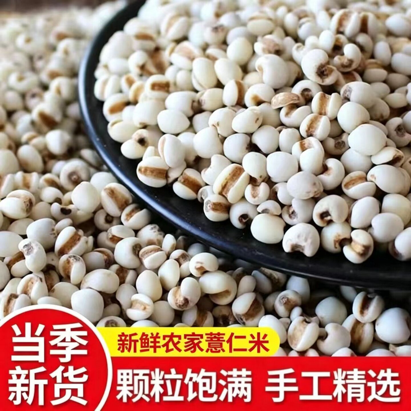 新鲜农家薏仁米搭配赤小豆红豆煮粥煲汤五谷杂粮粗粮可家用商用