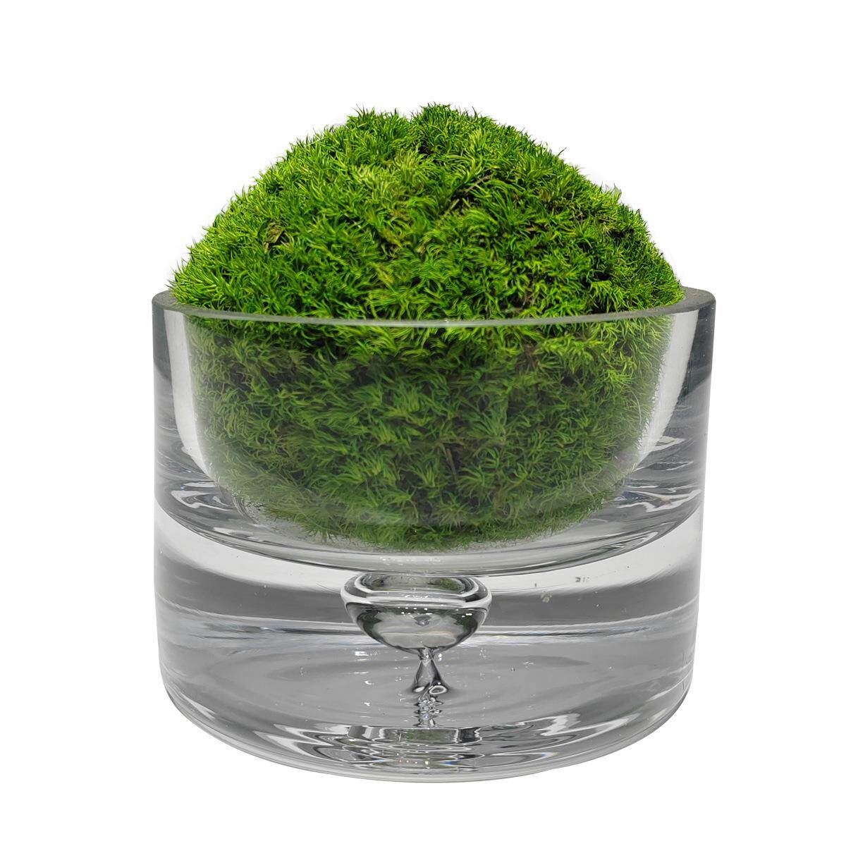 现代轻奢仿真苔藓小植物摆件客厅茶几卫生间装饰花艺盆栽装饰摆设