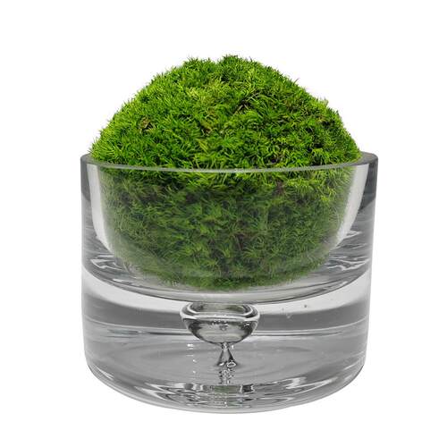 现代轻奢仿真苔藓小植物摆件客厅茶几卫生间装饰花艺盆栽装饰摆设