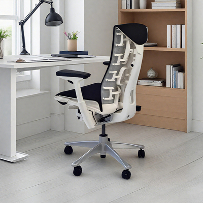 【现货秒发】Herman Miller 赫曼米勒 Embody Balance 人体工学椅