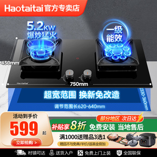Haotaitai燃气灶九腔九头猛火灶家用厨房双灶灶具W9-D