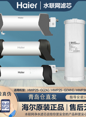 海尔管道式中央净水器原装滤芯HWP25-G（ZA）（WH）HWP30-G（WH）