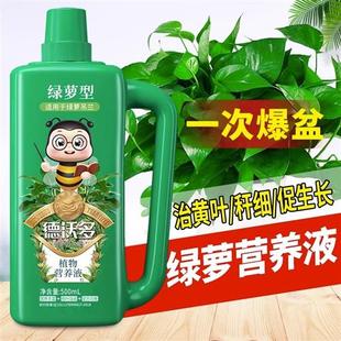 绿萝浓缩营养液绿箩专用肥花肥料盆栽家用吊兰水培植物液体肥通用