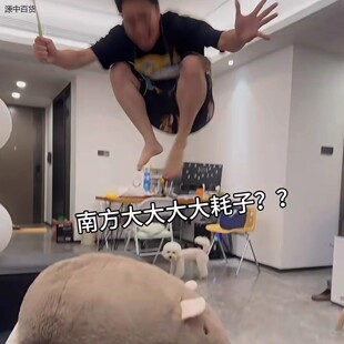 超大老鼠玩偶可爱儿童玩具送男女朋友超软毛绒抱枕创意南方大耗子