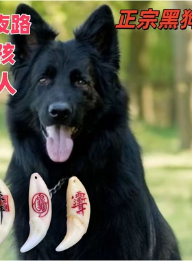 正品真狗牙护身吊坠出行护身随身携带黑狗牙真黑狗狗牙齿真牙