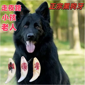 正品真狗牙护身吊坠出行护身随身携带黑狗牙真黑狗狗牙齿真牙