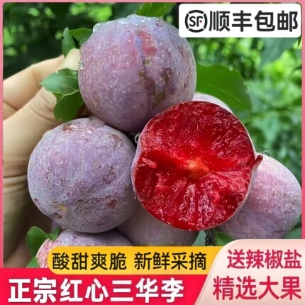 顺丰包邮信宜三华李整箱5斤脆甜前排红心李子当季酸孕妇水果3现摘