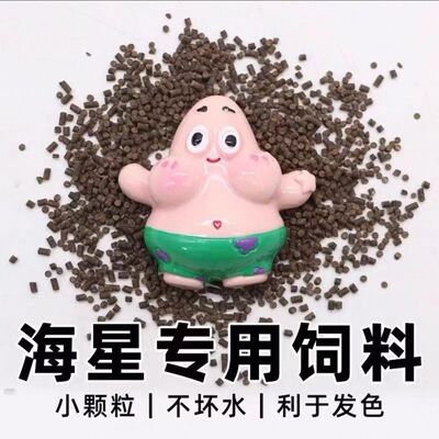 海星的专属美食海星粮观赏海星专用粮派大星饲料迷你海洋生物饲料