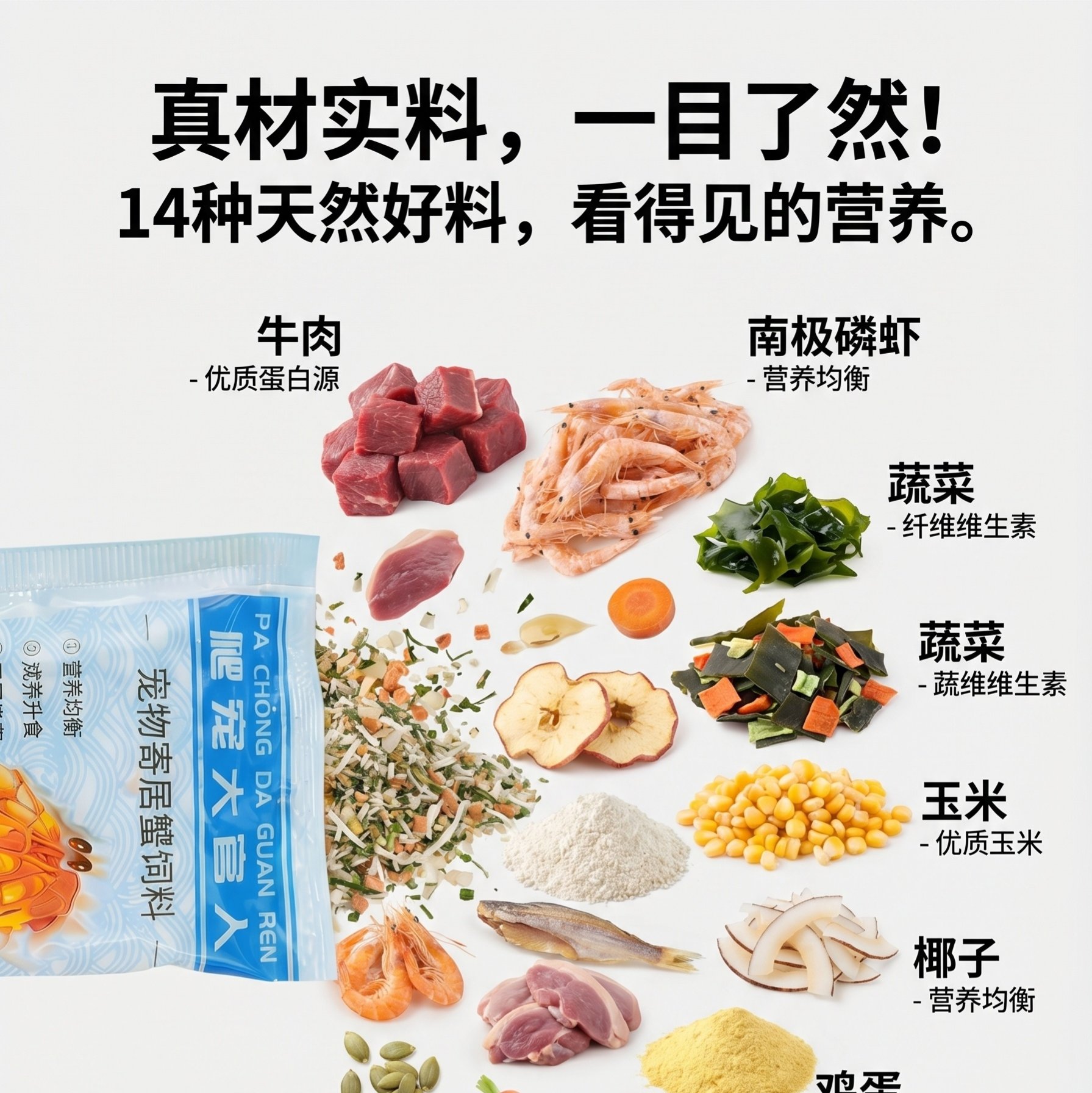 寄居蟹食物粮食专用饲料脱水冻干天然高钙鱼干虾干补钙无糖椰子片