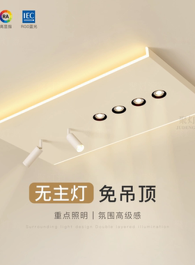 创意客厅主灯现代简约led吸顶灯2026新款大厅灯高级餐厅卧室灯具