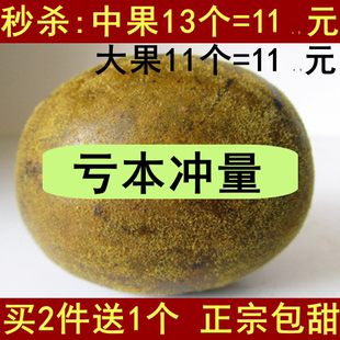 大果 特大果 广西特产 抢20个装 正品 中果 桂林永福 正宗罗汉果