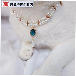 德文阿比西d尼亚猫咪项圈猫咪项链狗项圈狗脖圈宠物项圈狗项链,