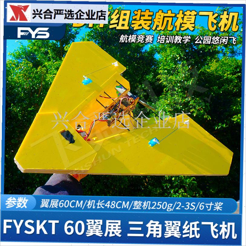 航模三角翼纸飞机迷你6v0翼展DIY竞赛教学悠闲遥控KT电动固定,