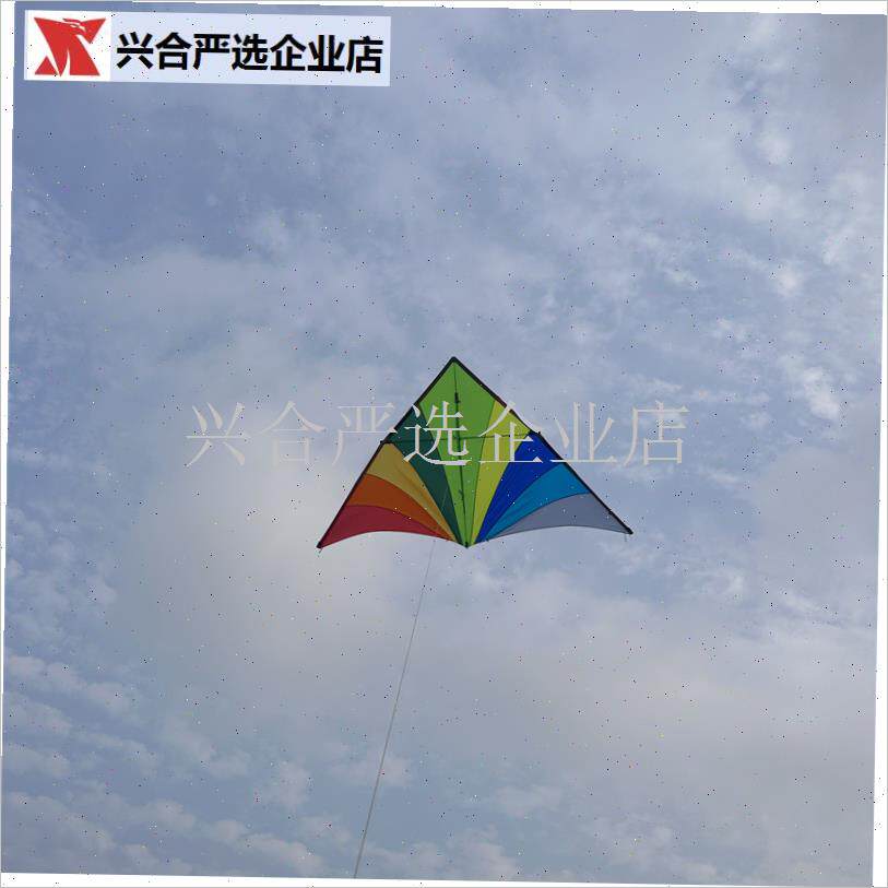 新款珍藏软伞布纯q碳三H角彩虹风筝漂亮好飞高端,