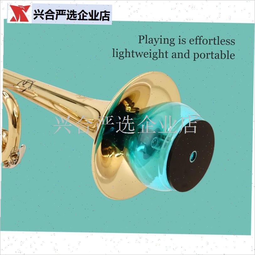 唢呐消音器练习不扰民民乐弱音器乐器练习弱P音通用配件唢呐弱音,