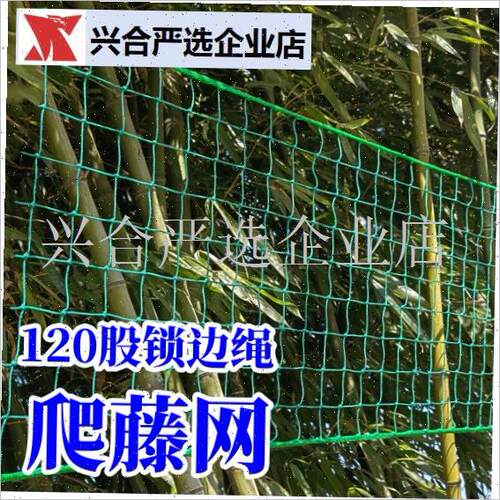 园艺爬藤网支架网家o用花架子网室外蔬菜户外庭院黄瓜简易葡萄架,