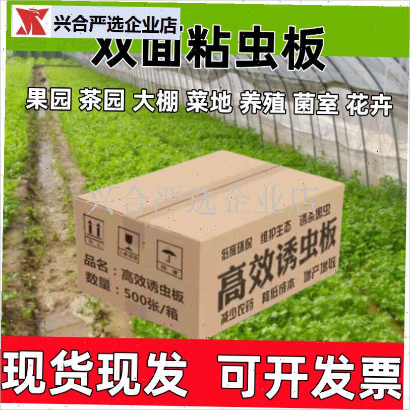 双面粘虫板强力诱虫m板果园瓜地大棚菜地粘小黑飞蓟马篮板白粉虱,