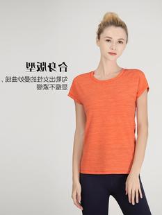 美背T恤欧洲运动瑜伽服速干美体上衣女短袖 新款 夏运动服瑜伽修身