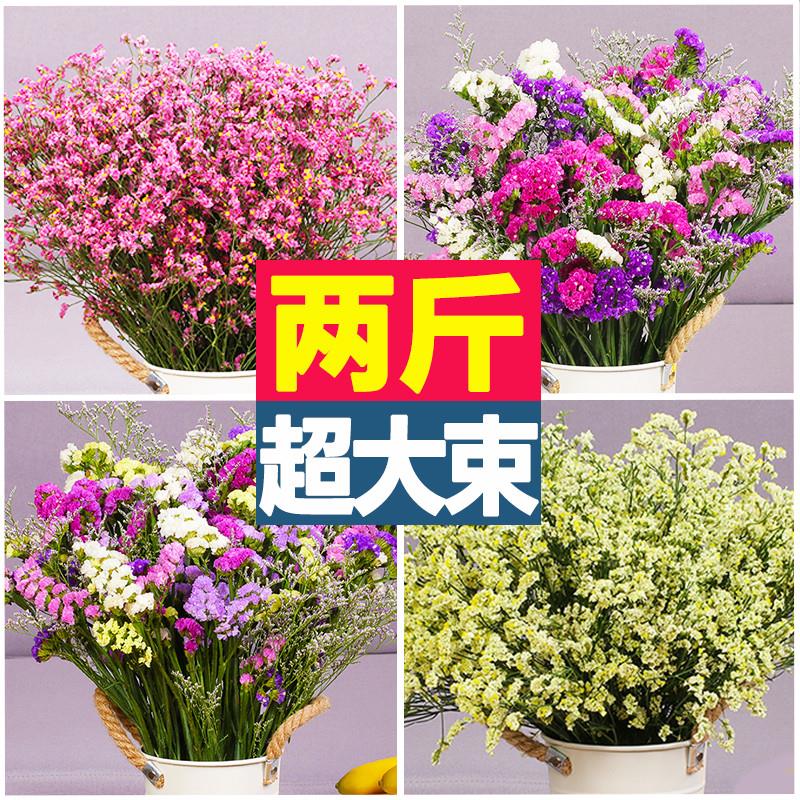 鲜花插瓶云南满天星称斤卖天然干花花束勿忘我客厅家居装饰摆件