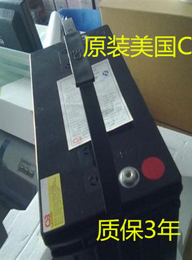 美国CSB蓄电池GP121000(12V100AH)质保3年台湾希世比