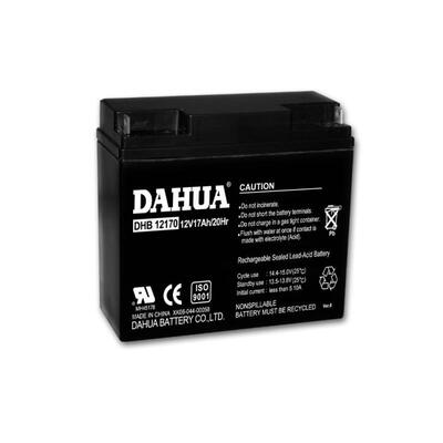 大华免维护蓄电池DHB1217