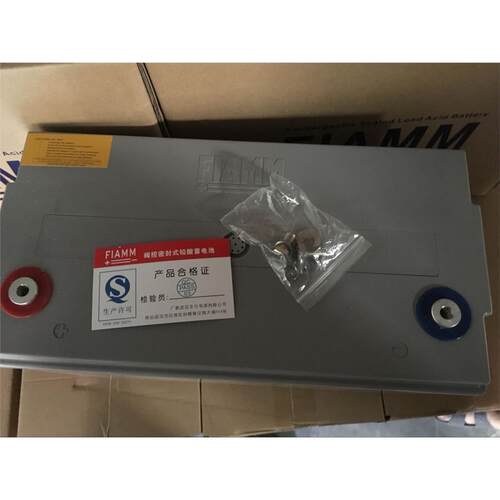 意大利非凡蓄电池12SP100