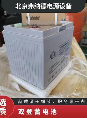 蓄电池6-GFM-65免维护12V65AH阀控式铅酸直流屏UPS配套