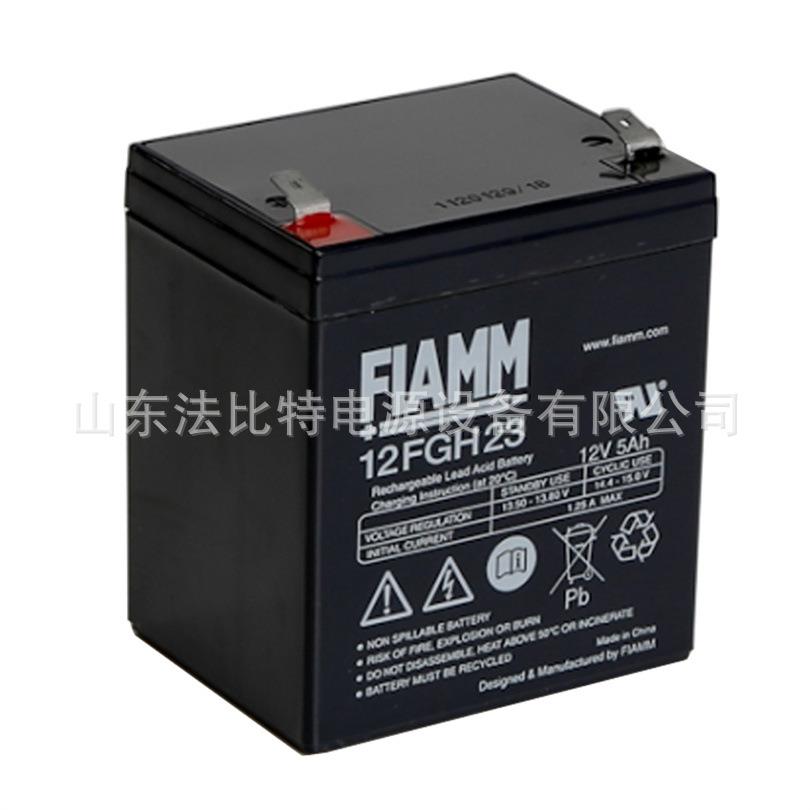成都铅酸蓄电池12FGH23免维护12V5Ah应急消防FIAMM