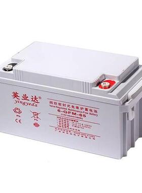 6-GFM-65 环保免维护电瓶 EPS配电柜后备应急电源